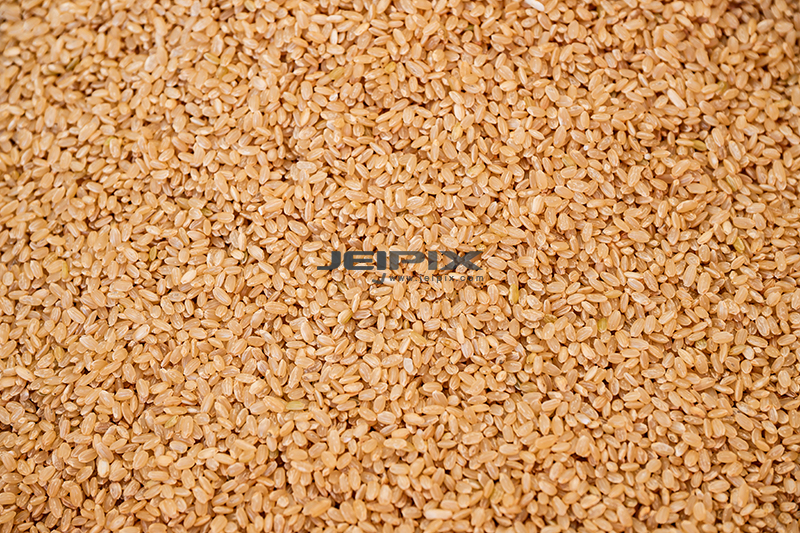 JPXSTP-00116.jpg