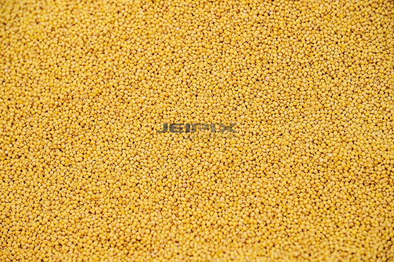 JPXSTP-00117.jpg