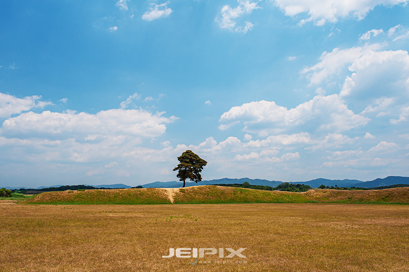 JPXSTP-00124.jpg