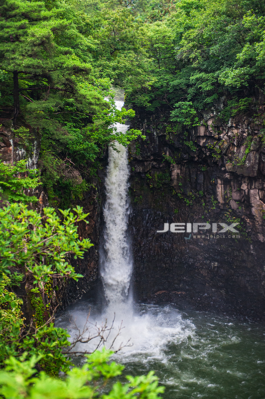 JPXSTP-00125.jpg