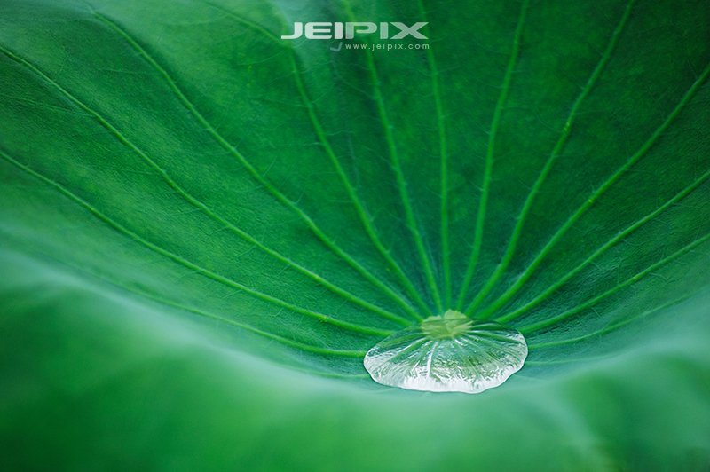 JPXSTP-00127.jpg