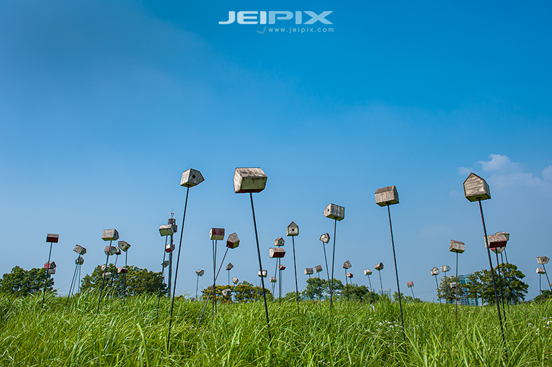 JPXSTP-00136.jpg