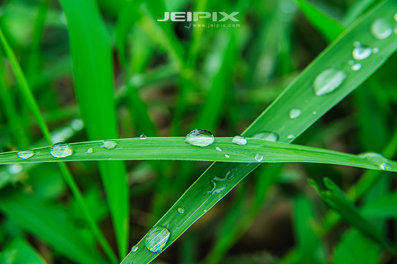 JPXSTP-00138.jpg
