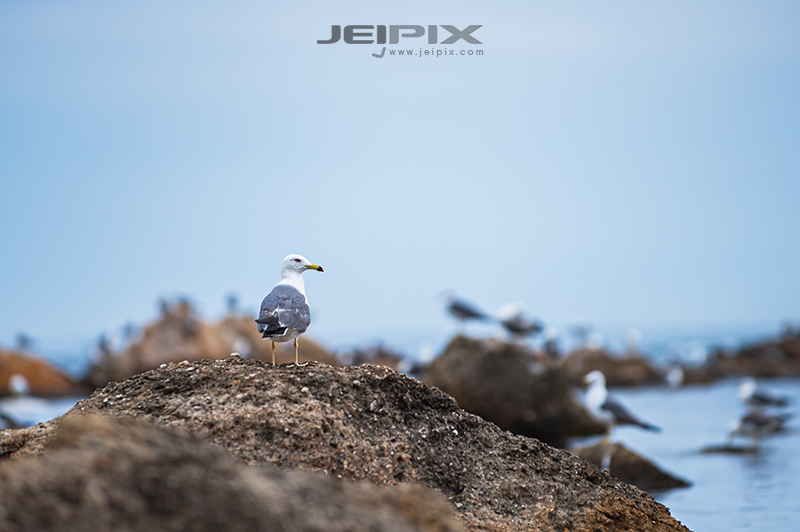 JPXSTP-00139.jpg