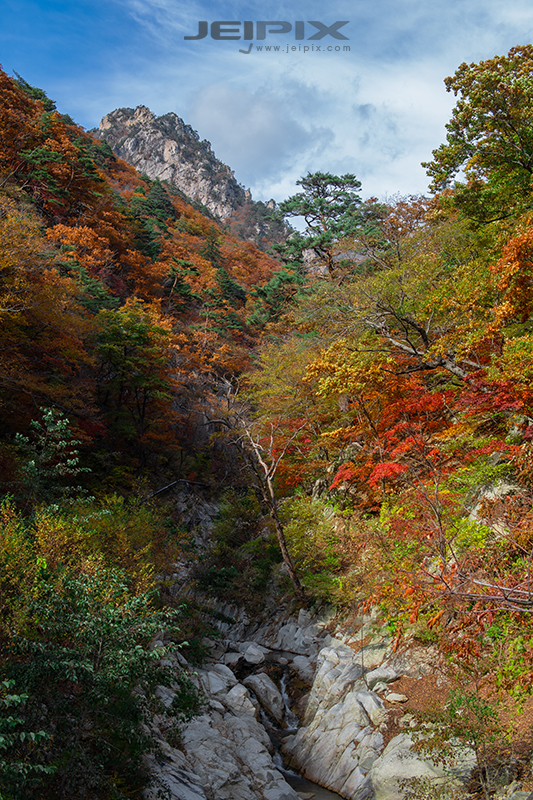 JPXSTP-00164.jpg