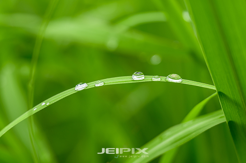 JPXSTP-00182.jpg