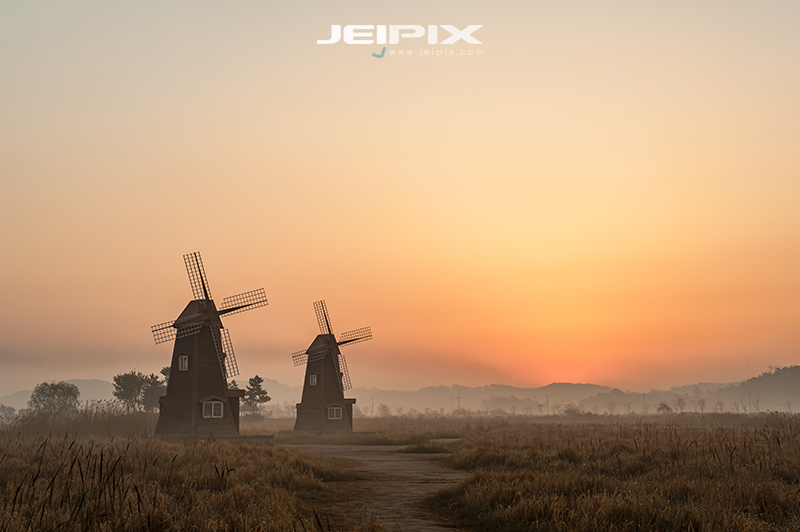 JPXSTP-00203.jpg