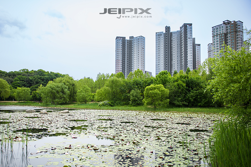 JPXSTP-00204.jpg