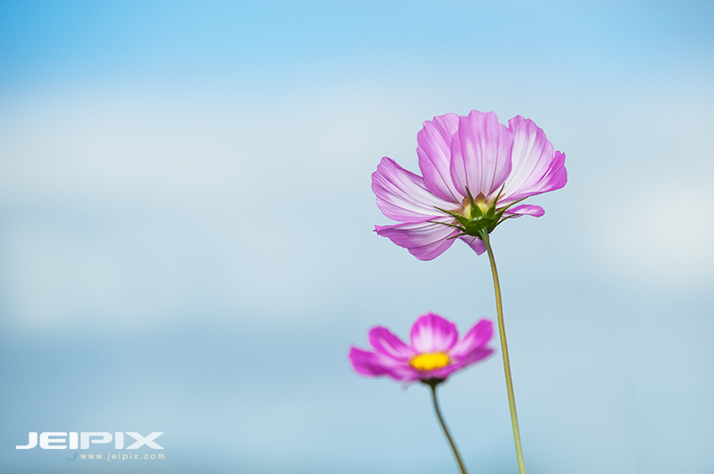 Jeipix_00003.jpg
