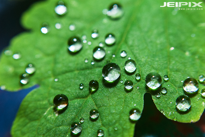 Jeipix_00005.jpg
