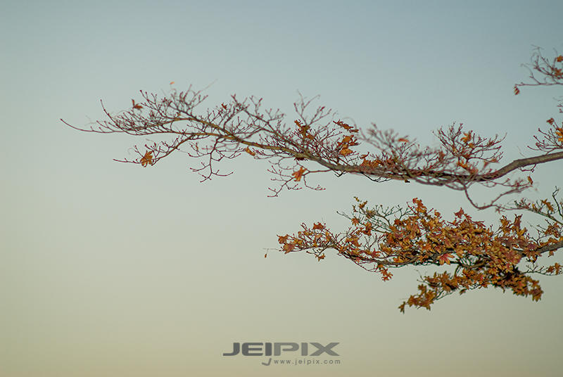 Jeipix_00034.jpg