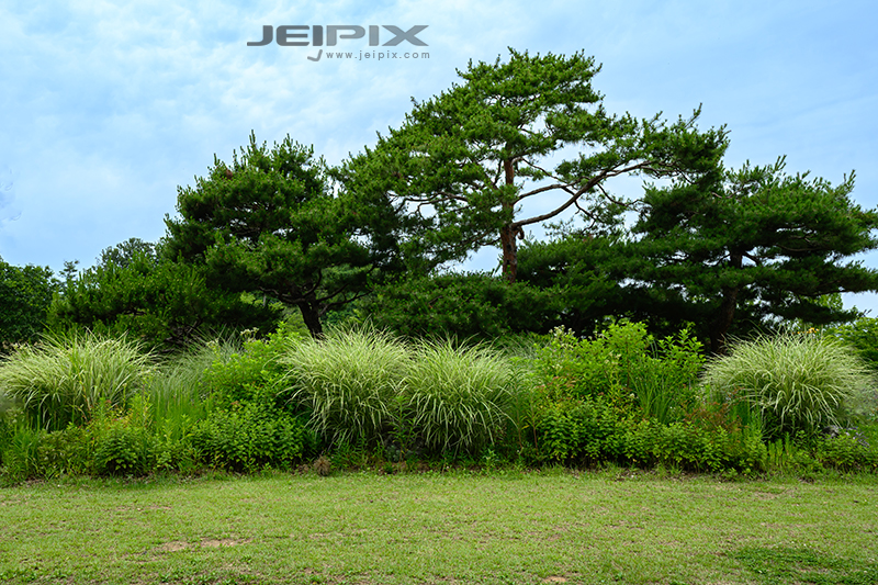 JPXSTP-00238.jpg