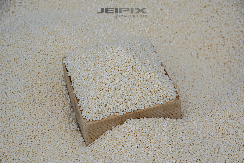 JPXSTP-00246.jpg