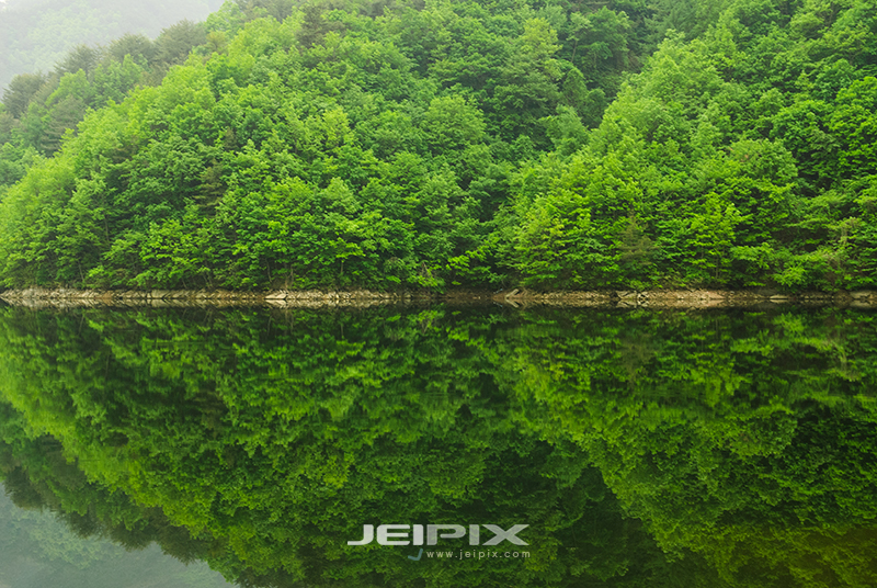 JPXSTP-00295.jpg