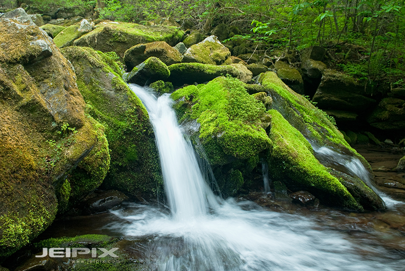 JPXSTP-00297.jpg