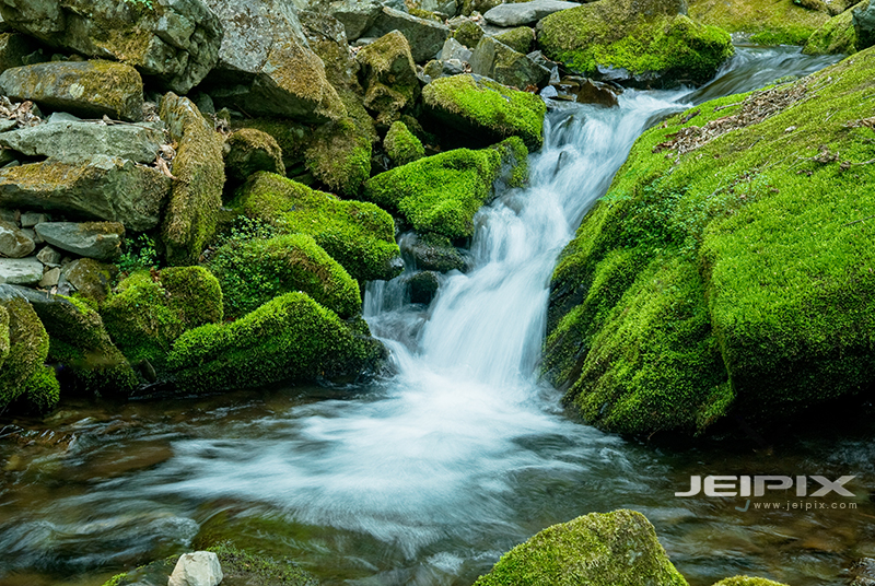 JPXSTP-00298.jpg