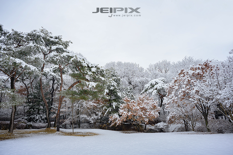 Jeipix_00020.jpg