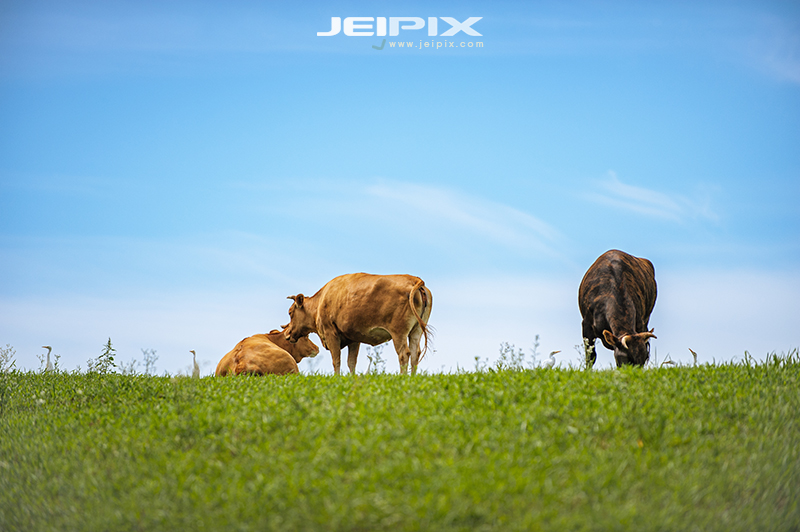 Jeipix_00022.jpg