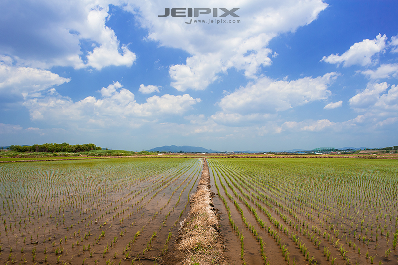 Jeipix_00026.jpg