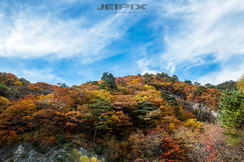 JPXSTP-00043.jpg