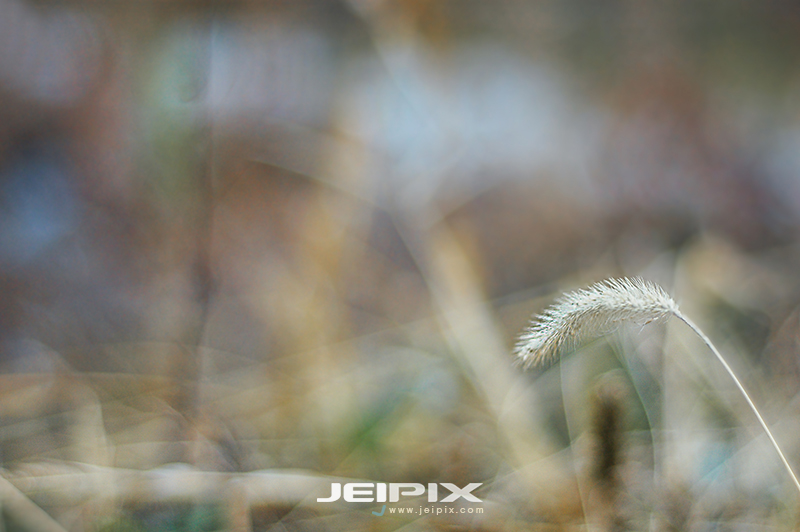 JPXSTP-00049.jpg