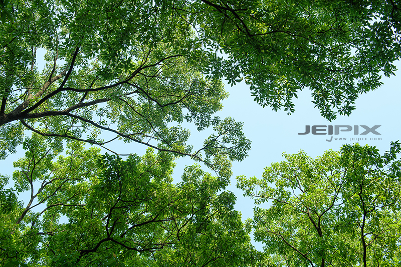 JPXSTP-00056.jpg