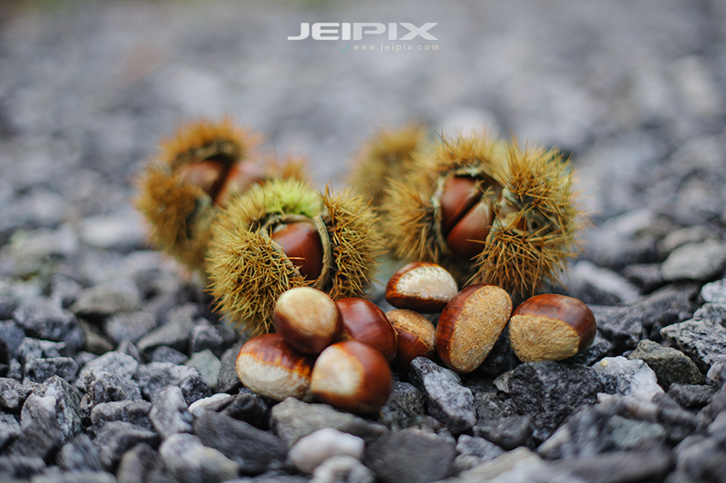 JPXSTP-00065.jpg