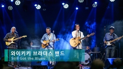 와이키키 브라더스 - Still Got The Blues
