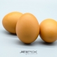 JPXSTP-00172