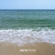 JPXSTP-00310
