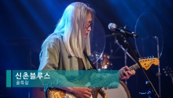 신촌블루스 40+1 봄 콘서트 : 골목길