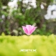 JPXSTP-00055