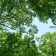 JPXSTP-00056