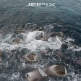 Stock Code - JPXSTV-00001
